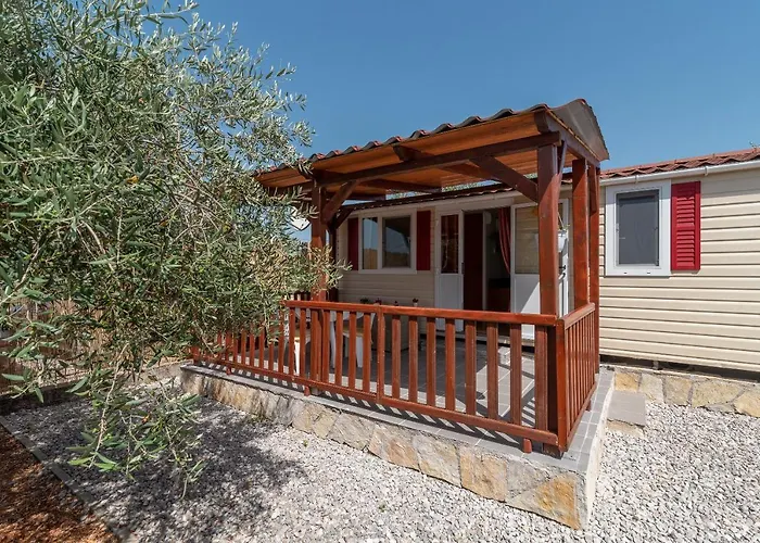 \'Olive Grove\' Camping House-Near The Beach